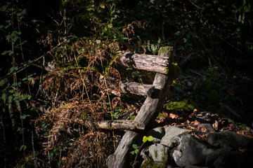 Natural hand made fence made of wooden tree brenches. Close up view of village fence with moss on wooden surface.