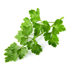 Bunch leaves parsley isolated over white background