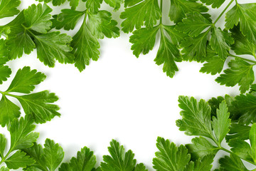 Bunch leaves parsley isolated over white background