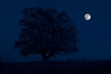 Mountain Road through the forest on a full moon night. Scenic night landscape of dark blue sky with moon. Azerbaijan