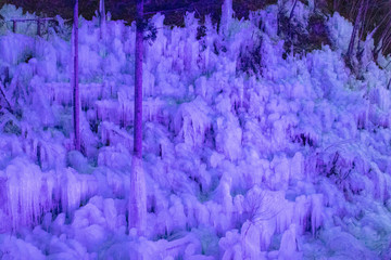 あしがくぼのライトアップ