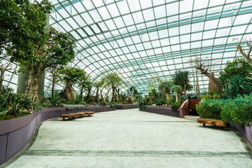 Beautiful architecture building flower dome garden and greenhouse forest for travel © siraphol