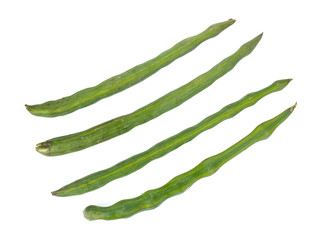 Ripe Moringa (Moringa oleifera) isolated on white background.Healthy product.Herbs that contain antioxidants help in aging.superfood