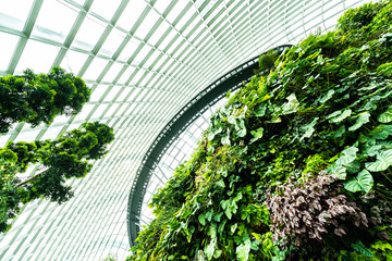 Beautiful architecture building flower dome garden and greenhouse forest for travel