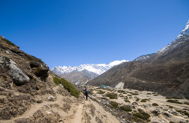 tourists trekking in Everest Region to reach Everest base camp