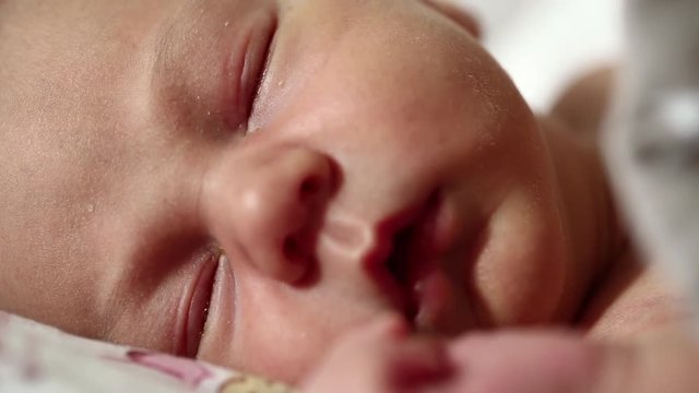 Newborn baby sleeps