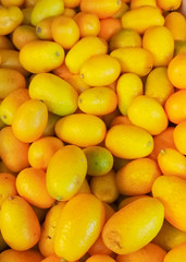 Bunch of fresh kumquats fruits in the organic food market