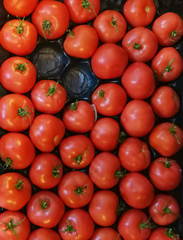 Red ripe tomatoes background with green roots in a drawer