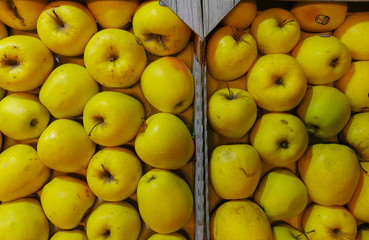 A background of Apples in a drawer. Yellow apple Raw fruit and vegetable organic fresh produce