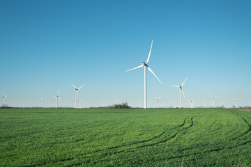 Fototapeta na wymiar Wind power station on field. Technology and inovation. Green energy composition. Wind turbines. Industrial landscape