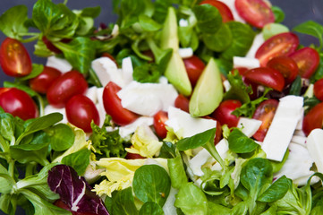 Colorful vegetable salad