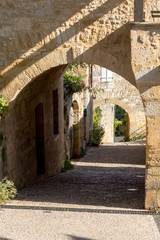 Village around Castelnaud-la-chapelle castle in Dordogne valley, Perigord Noir, France
