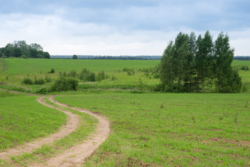 Obraz premium Rural summertime landscape, green foliage and country road
