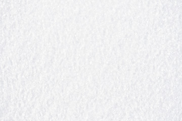 Fresh snow, as background.