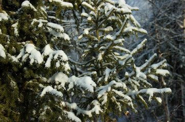 The mighty Siberian river Yenisei