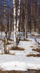 The mighty Siberian river Yenisei