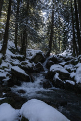 Austria Sunny Winter Mountains Holiday