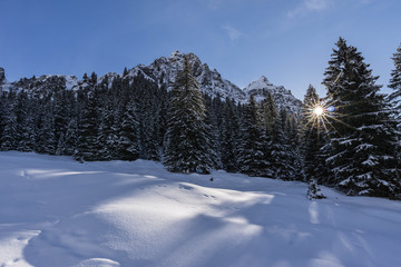 Fototapeta na wymiar Austria Sunny Winter Mountains Holiday