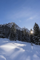 Austria Sunny Winter