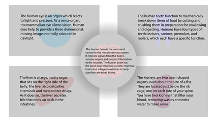 Human organs infografic vector design. Vital internal organs of the human body colored banner