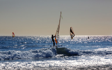 Windsurfing  at sunset