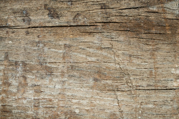 old wood background