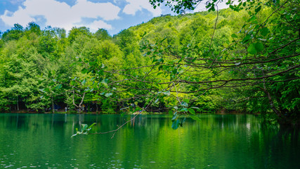 Beautiful lake view landscape. Sky and tree reflection on lake in Yedigoller Nature Park, Bolu District in Turkey. Amazing collaboration of blue and green. Multiple colors and amazing lake scenery. 