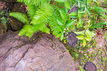 Stone steps and green moss decoration in japanese garden./ Stone steps and green moss decoration in japanese garden..
