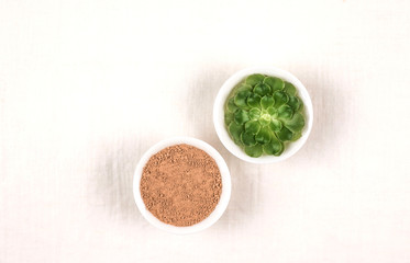Clay mask powder and fresh green succulent.