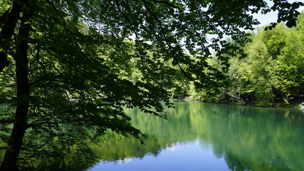 Fototapeta na wymiar Beautiful lake view landscape. Sky and tree reflection on lake in Yedigoller Nature Park, Bolu District in Turkey. Amazing collaboration of blue and green. Multiple colors and amazing lake scenery. 
