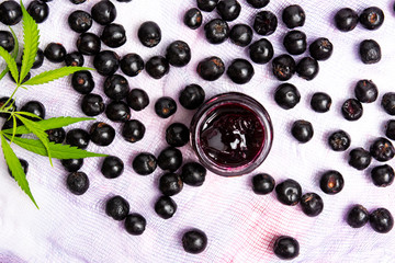 Marijuana plant with aronia chokeberry fruits