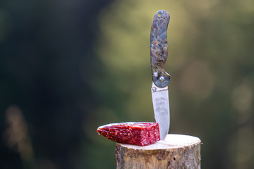 Close-up of folding pocket knife stuck vertically in tree stump and piece of sausage outdoors on...