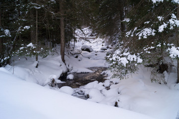  Winter adventures. Creek in the snow. Carpathians. Ukraine.