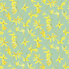   Forsythia.Spring flowers. Yellow flowering shrub. Garden plants. Botanical illustration. Yellow spring forsythia branches.