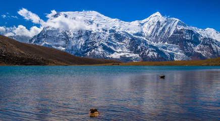 Icelake Annapurna