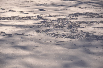 Clear sparkling snow at sunny winter day