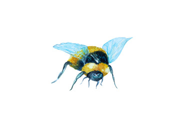 Watercolor hand drawn bumblebee