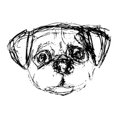 sketch of a portrait of a dog