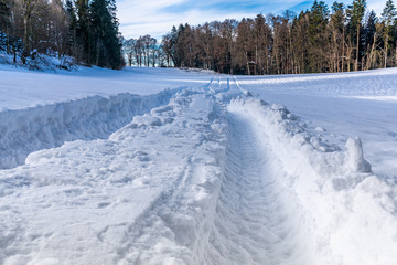 Fototapeta na wymiar Tiefe Reifenspuren in der Schneedecke vor dem Wald