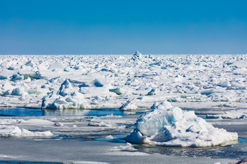 Frozen North Atlantic Ocean ice floes covering sea © PiLensPhoto