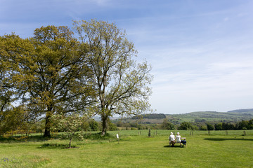 Fototapeta premium People enjoying beautiful views from Kilmacurragh gardens in county Wicklow, Ireland