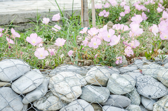 Flower gardens fenced with tiny pebbles