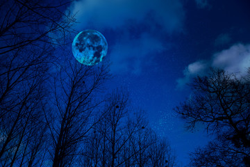 Naklejka premium The mystical landscape of the night sky with a moon and silhouettes of trees.