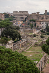 Fototapeta premium forum