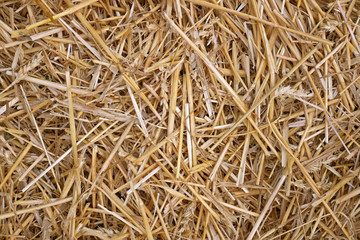Wheat straw pile background
