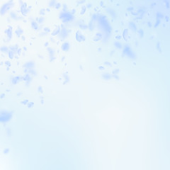 Light blue flower petals falling down. Eminent rom
