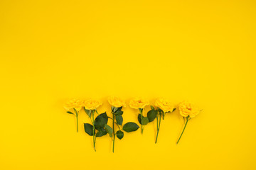The composition of flowers. Frame made of yellow flowers on a yellow background. Easter, spring, summer concept. Flat lay, top view