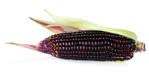 Siam Ruby Queen is super sweet corn with red color, can be eaten fresh, isolated on a white background with clipping path