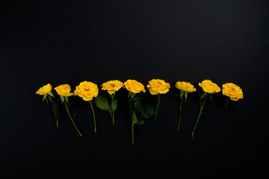 The composition of flowers. Frame made of yellow flowers on a black background. Easter, spring, summer concept. Flat lay, top view.