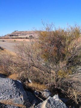 Australia. Broken Hill  in outback New South Wales